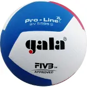 Gala Ballon de volley-ball Pro-line Bv5595s, poignée de main