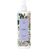 Raunsborg Moisture & Repair Shampoo Clair