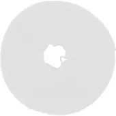 InLine serre-câbles, bande velcro, 10 mètres, 16mm, blanc (16 mm)
