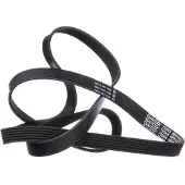 DAYCO Courroie trapézoïdale à nervures 6PK1835