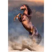 Clementoni Collection - talon rouge sauvage - Puzzle vertical amusant pour adultes - 500 pi ces - Fabriqu en Italie - Multicolore 35521