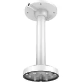 LevelOne IPCam Levelone CAS-7317 Pendelhalterung