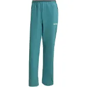 Adidas Terrex Multi Liteflex Pants Gris L / Regular Homme