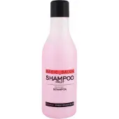 Stapiz Sleek Line Shampooing fruité, 1000 ml