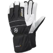 Tegera Paire de gants de protection contre le froid Tegera 296, taille de gants : 11 (11)