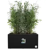 Elho Pot de Plante Rectangulaire Noir Elho - 59 x 30 x 29 cm
