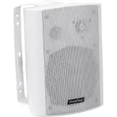 Omnitronic WPS-5, Haut-parleur PA, Blanc