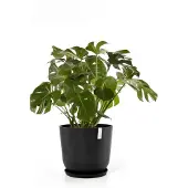 Ecopot's Oslo (55 x 48 cm)