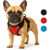Flamingo Harnais Balou Rouge pour chien