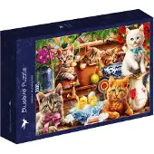 Bluebird Puzzle Chaton dans la remise 3000 pièces