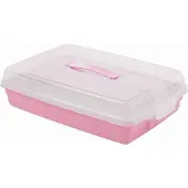 Curver Plastic PARTY BOX - rose, Boîte à gâteau, Rose