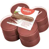 Bolsius Maxilichten Oud Wood 8 pcs. Clearcup True Scents