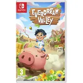 Everdream Valley Switch