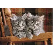 Clementoni Puzzle CLE 500 Chatons Compacts 35580
