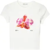 Bershka T-shirt rose / rouge / blanc cassé
