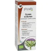 Physalis Artichaut Bio