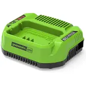 Greenworks Chargeur 60 V 2 A G60UC - 2932007