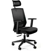Unique Ergonomic office chair ESTA black