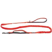 Beeztees Laisse Pour Chien Parinca Elastic