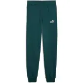 Puma Ess Nº1 Logo Sweat Pants Vert 9-10 Years Garçon