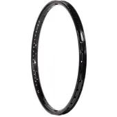 Arise Argon Pro 20´´ X 1.6-195´´ Rim Argenté 20´´ 36H