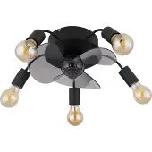 Globo Alisha, Ventilateur, Noir