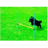 Pawise Agility Hurdle 16 Cm Vert
