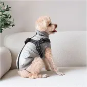 Nordic Paws Thor Dog Jacket Gris S