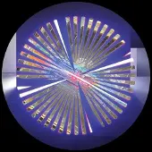 Bertus Distributie Pete Bandit - Wild Feelings [12-Inch Single] Extended Play