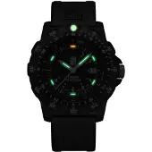 Luminox Montre pour homme X2.2421 Never Get Lost