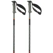Salomon Polar Pro S3 Poles Argenté 130 cm