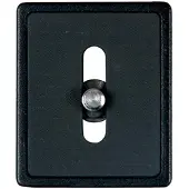 Vanguard Plateau QS-39 à Dégagement Rapide
