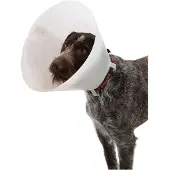 Kruuse K273330 Elizabethan Dog Collar 10 Units Blanc