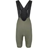 Bioracer Icon Bib Shorts Vert S Femme