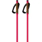 Fischer Storm Gtx M Poles Rose 170 cm