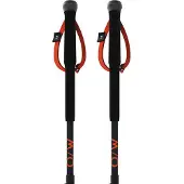 Fischer Junior Poles Noir 80-110 cm Enfants