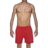 Arena Short de bain Fundamentals
