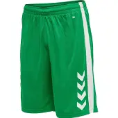 Hummel Pantalon de sport vert gazon / blanc
