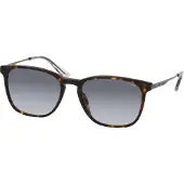 Police Spld47-550752 Sunglasses Marron Degraded Homme