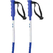 Salomon S/race Sg Junior Poles Bleu 100 cm Enfants