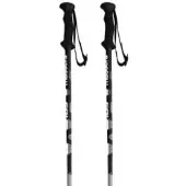 Masters Ca5 Poles Argenté 120 cm