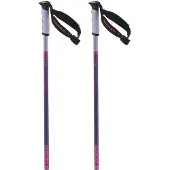 Salomon Arctic S3 Xl Poles Clair 130 cm