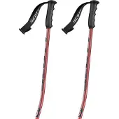 SCOTT Bâtons Team Issue Gs