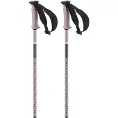 Salomon Polar Pro Poles Argenté 130 cm
