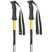 Masters Bâtons Junior Rental Protek
