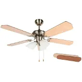 Orbegozo Ct 23105 105 Cm Ceiling Fan Doré One Size / EU Plug 220V