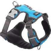 Red Dingo Acolchado Dog Harness Bleu L