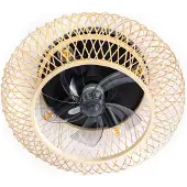 Expo Ventilateur avec lampe Fan.8 bois