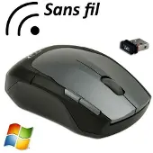 TNB SRSFSHARK - Souris optique 1000dpi sans fil 2,4GHz SHARK RF10