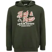Jack & Jones Logo 2 Plus Size Hoodie Vert 5XL Homme